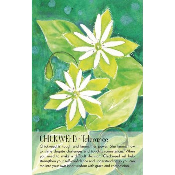 Soulflower Plant Spirit Oracle kortos Findhorn Press
